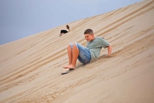 Port Stephens Experience + Sydney Hop-on-Hop-off Bus Ticket