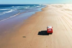 Port Stephens Experience + Sydney Hop-on-Hop-off-bussbillett