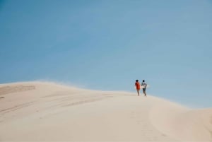 Sydney: Port Stephens Dolphin Watching & Sand Dunes Day Tour