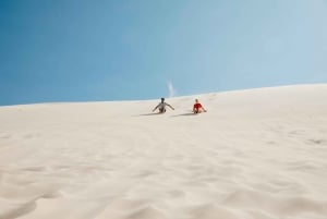 Sydney: Port Stephens Dolphin Watching & Sand Dunes Day Tour