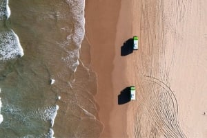 Sydney: Port Stephens Dolphin Watching & Sand Dunes Day Tour