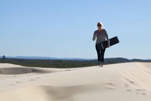 Port Stephens Small Group Whales & Dunes Combo