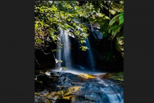 Tour privado com tudo incluído pelas Blue Mountains e pelo mundo cênico