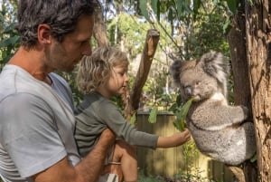 PRIVATE Blue Mountains Scenic World Kangaroo Koala Encounter