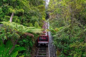 PRIVATE Wentworth Blue Mountains Scenic World - ALT INKLUSIVE