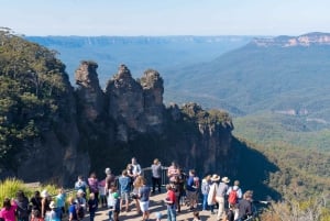 Private Blue Mountains, Scenic World & Wentworth Falls Tour