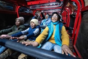 Private Blue Mountains, Scenic World & Wentworth Falls Tour