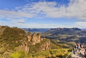 Private Blue Mountains, Scenic World & Wentworth Falls Tour