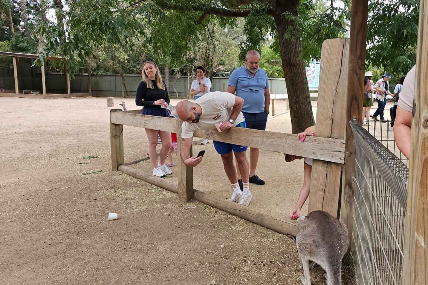 プライベート・ブルーマウンテンズ、シーニックワールド、オーストラリア野生動物ツアー