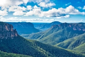 Tour privato BlueMountains, ScenicWorld e AustralianWildlife