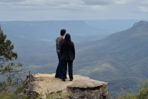 Tour privato BlueMountains, ScenicWorld e AustralianWildlife