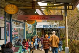 Tour privato BlueMountains, ScenicWorld e AustralianWildlife