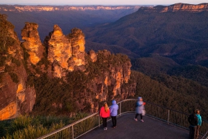 Tour privato BlueMountains, ScenicWorld e AustralianWildlife