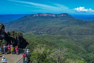 Tour privato BlueMountains, ScenicWorld e AustralianWildlife