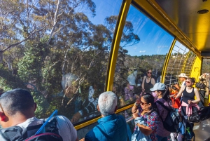 Tour privato BlueMountains, ScenicWorld e AustralianWildlife