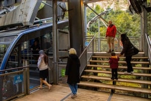 Tour privato BlueMountains, ScenicWorld e AustralianWildlife
