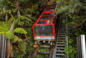 Tour privato BlueMountains, ScenicWorld e AustralianWildlife