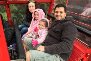 Tour privato BlueMountains, ScenicWorld e AustralianWildlife