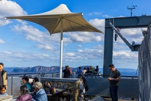 Tour privato BlueMountains, ScenicWorld e AustralianWildlife