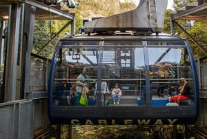 Tour privato BlueMountains, ScenicWorld e AustralianWildlife