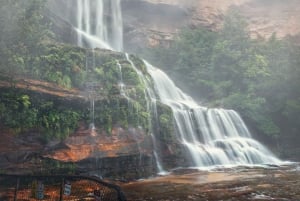 Tour privato BlueMountains, ScenicWorld e AustralianWildlife
