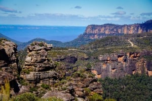 Tour privato BlueMountains, ScenicWorld e AustralianWildlife
