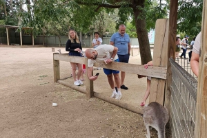 プライベート・ブルーマウンテンズ、シーニックワールド、オーストラリア野生動物ツアー