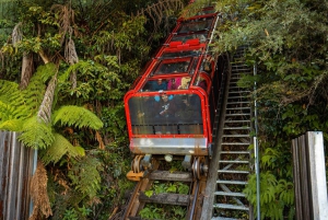 プライベート・ブルーマウンテンズ、シーニックワールド、オーストラリア野生動物ツアー