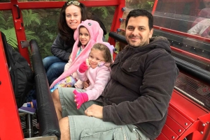 プライベート・ブルーマウンテンズ、シーニックワールド、オーストラリア野生動物ツアー