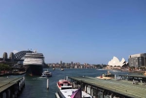 Private Half Day Sydney City Tour