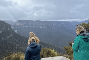 Privat lyxigt Blue Mountains-äventyr från Sydney