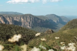 Privat lyxigt Blue Mountains-äventyr från Sydney