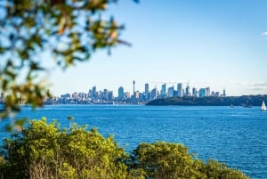 Tour privado por las playas de Sídney