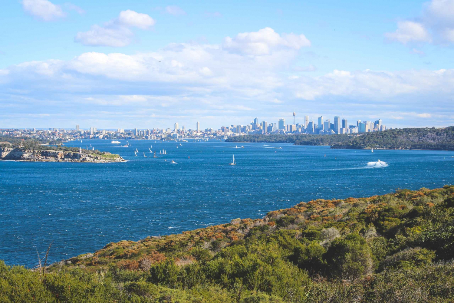 Sydney: Private Half or Full-Day Sightseeing Tour