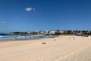Sydney : Visite touristique privée d'une demi-journée ou d'une journée entière