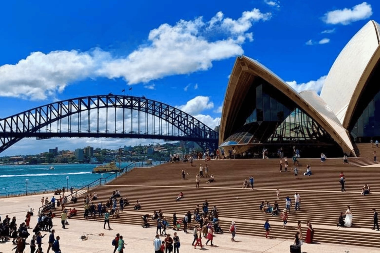 Tour privati: Tour di un giorno intero della città di Sydney e tour panoramico