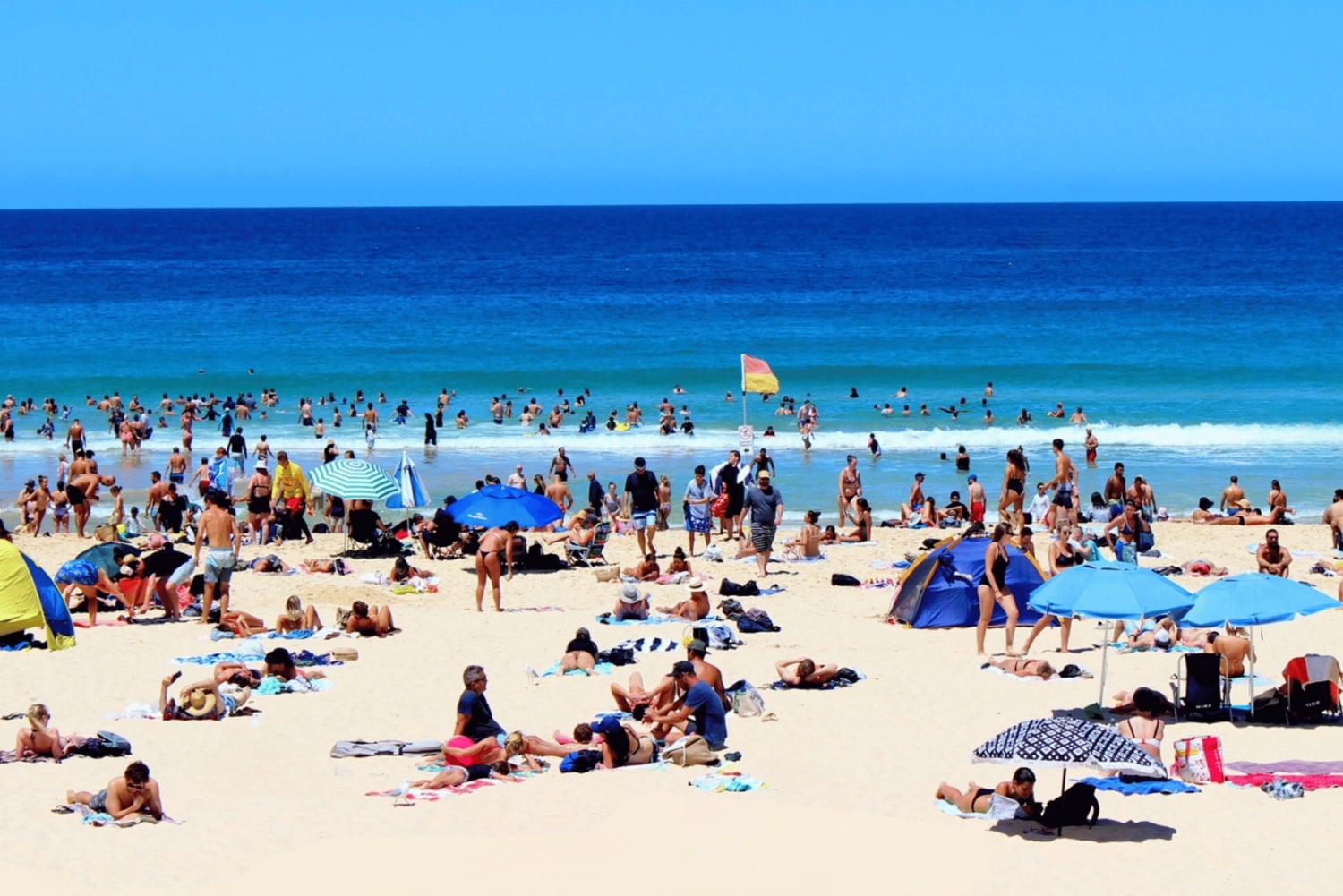 Tour privati: Tour di un giorno intero della città di Sydney e tour panoramico