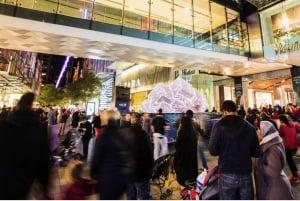 Tours particulares: Excursão de 1 dia pela cidade de Sydney e passeios turísticos