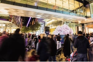 Tour privati: Tour di un giorno intero della città di Sydney e tour panoramico