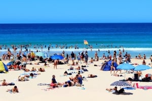 Tour privati: Tour di un giorno intero della città di Sydney e tour panoramico