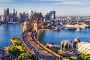 Tour privati: Tour di un giorno intero della città di Sydney e tour panoramico