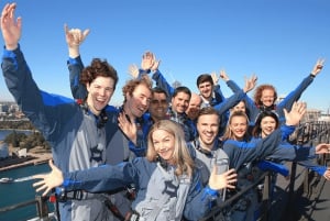 Tour privati: Tour di un giorno intero della città di Sydney e tour panoramico