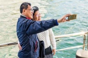 Entspannende 1,5-stündige Mittagessen-Buffet-Kreuzfahrt im Hafen von Sydney