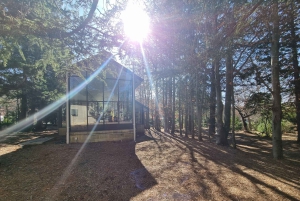 Кенгуру, блюз и виды — однодневный тур по Голубым горам с обедом