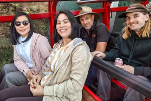 Кенгуру, блюз и виды — однодневный тур по Голубым горам с обедом