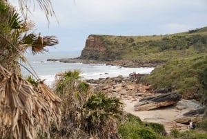 Royal National Park Day Trip!