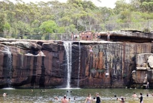 Z Sydney: Prywatna jednodniowa wycieczka do Królewskiego Parku Narodowego