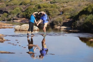 Fra Sydney: Privat dagstur til den kongelige nationalpark