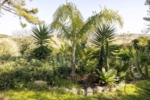 Santa Cruz: Portugalin surffitalo ja leiri