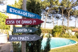 Santa Cruz: Portugalin surffitalo ja leiri